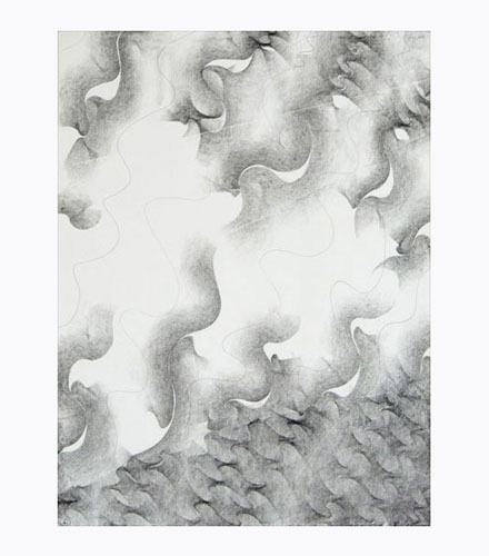 Image 008